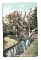 LEWISHAM Ladywell Recreation Ground South London Suburbs Used 1906 CHARLES MARTIN PUBLISHED - London Suburbs