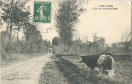 91 - LIMOURS  - CPA - Côte De Roussigny - Limours