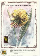 ANDORRA 1980 - GRANDE CARTE MAXIMUM  FLEUR-FLOWERS – NATURE: MARCOLIC GROC (LILIUM PYRENAICUM) AVEC 1 TIMBRE POSTE FRANÇ - Cartas Máxima