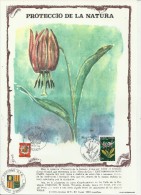 ANDORRA 1980 - GRANDE CARTE MAXIMUM  FLEUR-FLOWERS – NATURE: DENT DE GOS (ERYTHRONIUM DENS-CANIS) AVEC 1 TIMBRE POSTE FR - Maximumkarten (MC)