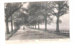 BATTERSEA PARK THE AVENUE AND CRICKET GROUND USED 1905 SOUTH LONDON SUBURBS W CHECKLEY BATTERSEA PARK SW - London Suburbs