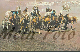 Chuckwagon Races, Exhibition & Stampede, Calgary, Alberta, Canada - Calgary