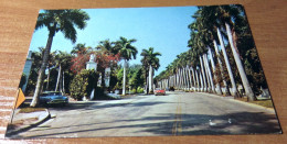 1954 Buick Oldsmobile Cars Voitures Royal Palms Mc Greagor Blvd Ft Myers FL Postcard - Fort Myers