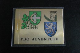 Suisse - Carnet Pro-Juventute 1980 - Y.T. C1096 - Neuf (**) Mint (MNH) Postfrisch (**) - Nuevos