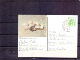 Deutsche Bundespost -  Natur Museum Coburg - Gieboldehausen 24/3/1992 (RM4287) - Straussen- Und Laufvögel