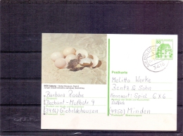 Deutsche Bundespost -  Natur Museum Coburg - Gieboldehausen 24/3/1992 (RM4287) - Autruches