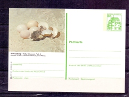 Deutsche Bundespost -  Natur Museum Coburg  (RM4288) - Autruches