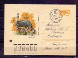 Noyta CCCP - 13/1/1972  (RM4293) - Straussen- Und Laufvögel
