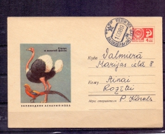 Noyta CCCP - Valmiera 10/9/1989  (RM4294) - Straussen- Und Laufvögel