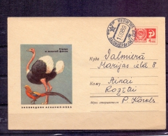 Noyta CCCP - Valmiera 10/9/1989  (RM4294) - Autruches