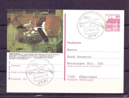 Deutsche Bundespost - Postkarte - Storchendorf Saulgau - Bergenhusen 17/10/1984  (RM4328) - Ooievaars