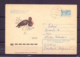 Noyta CCCP -   17/11/1974 (RM4357) - Storchenvögel