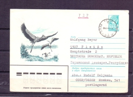 Noyta CCCP - Mockba  24/12/1982 (RM4362) - Storchenvögel