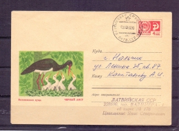 Noyta CCCP -  3/3/1980 (RM4363) - Storks & Long-legged Wading Birds