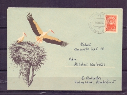 Noyta CCCP -  10/10/1964 (RM4364) - Storks & Long-legged Wading Birds