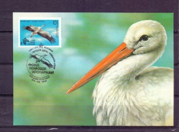 Noyta CCCP -  Mockba 4/2/1991 (RM4368) - Ooievaars