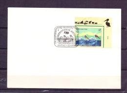 Vereinte Nationen - Gefährdete Arten -  Wien 22/4/1999  (RM4370) - Pelicans