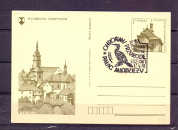 Polska - Palac Mlodziezy - Szczecin 17/5/1976 (RM4373) - Pélicans