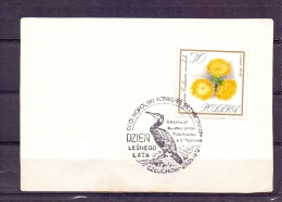 Polska - Dzien Lesnego  Lata - Czeuchow 28/5/1972 (RM4374) - Pelicans