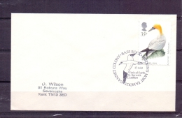 Great Britain - Britains Most Famous Gannet Colony Bass Rock 17/1/1989  (RM4384) - Pelikanen