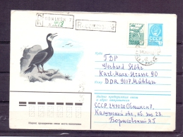 Noyta CCCP - Gbninsk 9/1/1985 (RM4397) - Pelicans