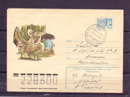 Noyta CCCP - Natb. CCP 12/8/1975   (RM4401) - Pelicans