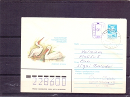 Noyta CCCP - Valmiera 6/5/1992   (RM4404) - Pelicans