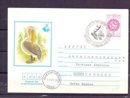 Noyta CCCP -  Expo '81 -  Plovdiv  (RM4406) - Pelícanos