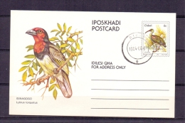 Ciskei - Lybius Tprquatus -  Bisho 1984  (RM4806) - Spechten En Klimvogels