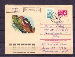 Noyta CCCP - Minsk 1997 (RM4815) - Climbing Birds