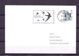 Deutschland - Der Mauersegler - Vogel Des Jahres 2003 - Rodenberg 12/2/2003 (RM4889) - Swallows