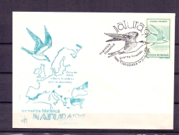 Posta Romana - Natura '91 - Sterna Hirundo - Timisoara 24/10/1991    (RM4915) - Mouettes