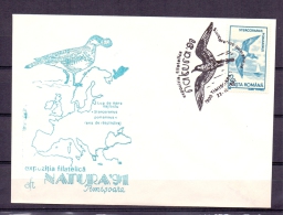 Posta Romana - Natura '91 - Stercorarius Pomparinus - Timisoara 22/10/1991    (RM4916) - Mouettes