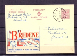 België - Bredene - Familie Badplaats - 2/12/1963   (RM4921) - Mouettes