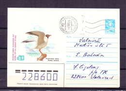 Noyta CCCP -  Valmiera 14/10/1985   (RM4937) - Mouettes