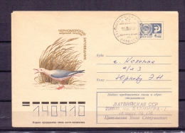 Noyta CCCP -  3/5/80   (RM4942) - Seagulls