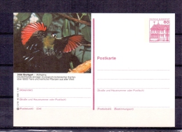 Deutsche Bundespost - Wilhelma  Zoologisch-botanischer Garten - Stuttagrt (RM5142) - Cuckoos & Turacos