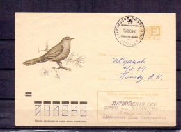 Noyta CCCP - Valmiera 4/8/80  (RM5145) - Cuckoos & Turacos