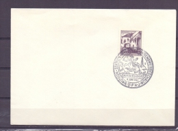 Rep. Österreich - Union Sektion Filatelie Jugendwerbeschau - Gänserndorf 9/6/1962  (RM5509) - Gänsevögel