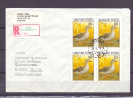 Magyar Posta - Anser Anser - Salgotarjan 10/5/82 (RM5521) - Geese