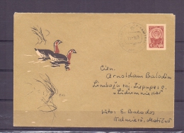 Noyta CCCP - 11/3/63 (RM5533) - Geese