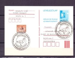 Magyar Posta -Debrecen 26/10/1981   (RM5545) - Oies