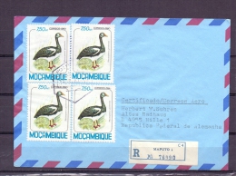 Mocambique - Maputo 1981    (RM5553) - Gansos