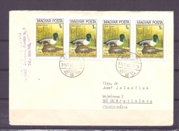 Magyar Posta - Anas Clypeata - Budepest 29/4/1981  (RM5603) - Ducks