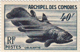 Comoren  Yv 13, Fishes,poissons  MNH ** - Unused Stamps