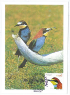 Portugal Maximum - European Bee Eater  - Abelharuco - Merops Apiaster - Aves De Portugal Évora FD Postmark 2002 - Cuckoos & Turacos