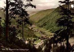 TODTNAU-FAHL-BLICK INS WIESENTAL - Todtnau