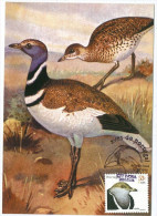 Portugal Maximum - Sisão - Tetrax Tetrax - Aves De Portugal Évora FD Postmark 2001 - Storchenvögel