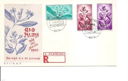 RioMuni-Fleurs ( FDC De 1964 à Voir) - Rio Muni