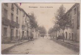 CPA DPT 34 MONTAGNAC,  AV DE MONTPELLIER En 1913!! - Montagnac